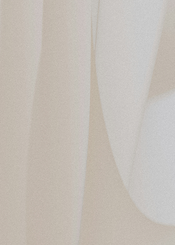 Rectangle 245